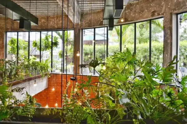 Guide pratique pour la création réussie d’un potager urbain en ville