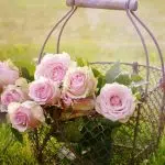 À la découverte du salon de jardin