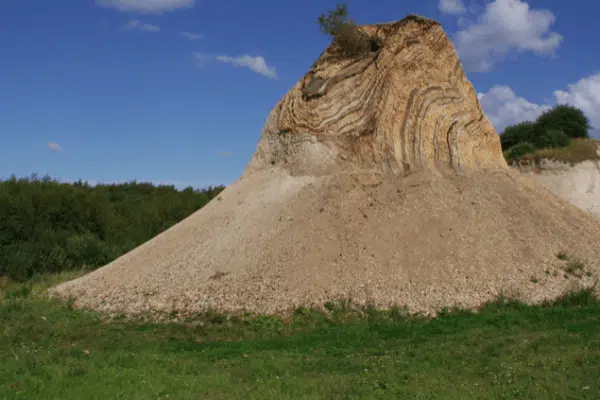 La terre diatomée tue-t-elle les puces ?